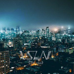 俄罗斯老女人全裸体亮阴道展示
