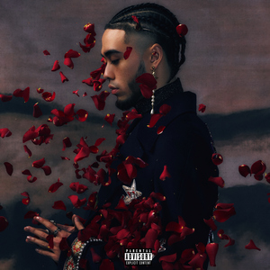 强奸校花美女系列视频
