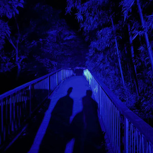 温柔的遗孀希岛爱理
