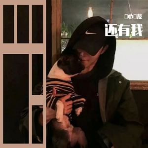 港口黑车电子板
