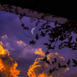 温柔的遗孀希岛爱理
