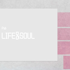 强奸校花美女系列视频
