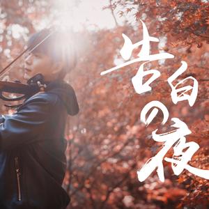 港口黑车电子板
